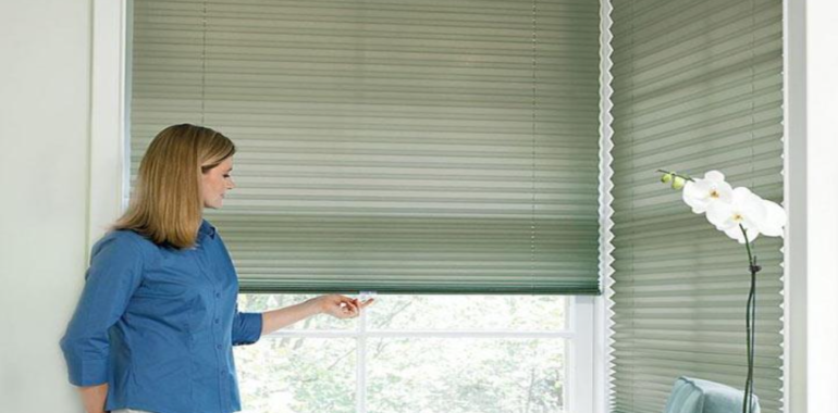 The Best Window Shades for Chicago Apartments: Style & Privacy